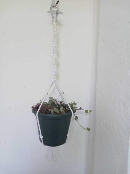 Suporte para plantas