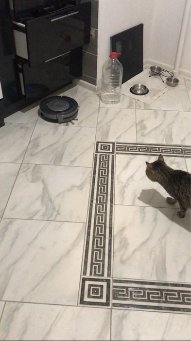 Робот Пылесос Dirt Devil Libero M606-3/Идеал