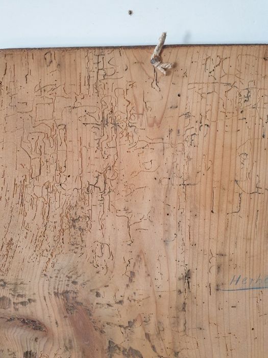 Velho icone - representando São Jorge - pintura sobre madeira