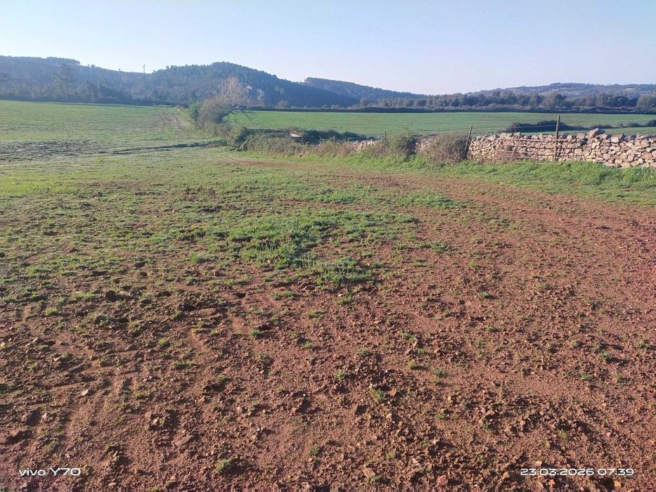 Magnífico monte/herdade, 25 hectares de pura natureza, ideal para quem procura tranquilidade/investimento