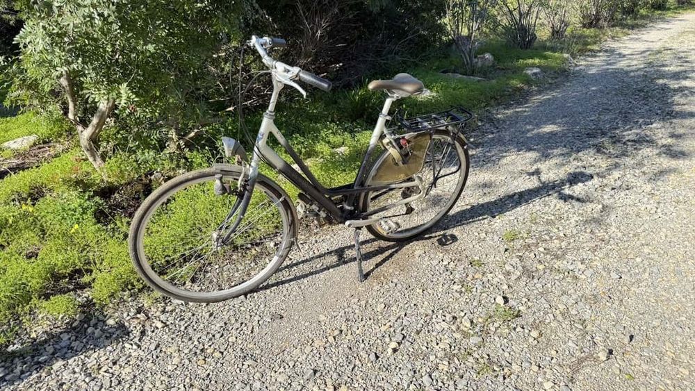 Bicicleta urbana, RIH Z 800