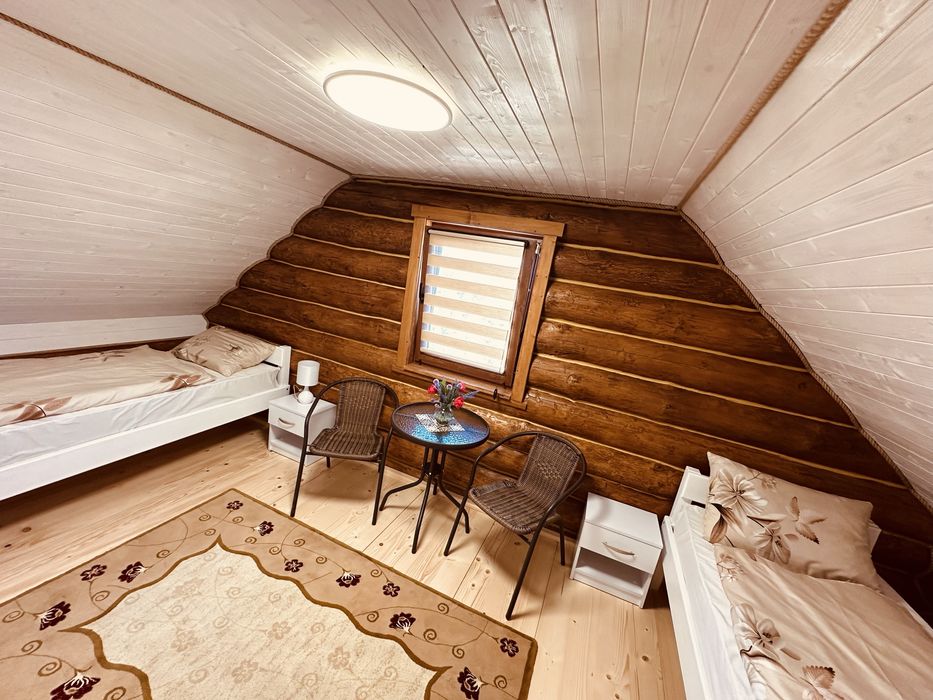 Деревяний будиночок біля термальних вод Косино