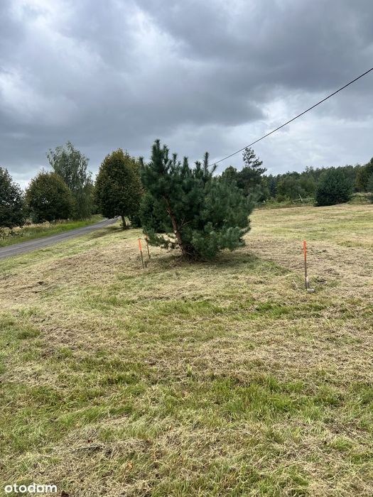 Działka budowlana 3010 m² prąd w drodze