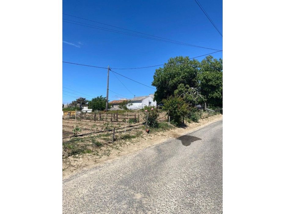 Quinta com vista Mar em Santiago do Cacém