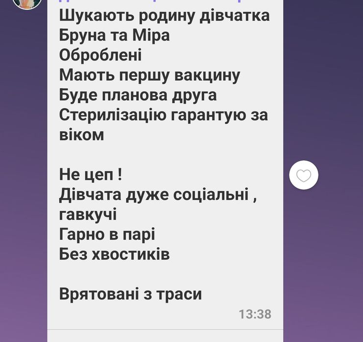 Цуценята шукають дім