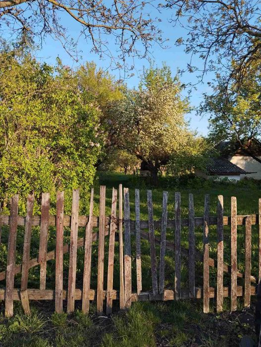 будинок + літня кухня + ділянка 56 соток + горіховий сад
