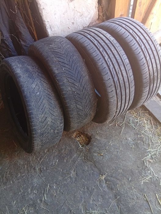 Шыны р 16 летние