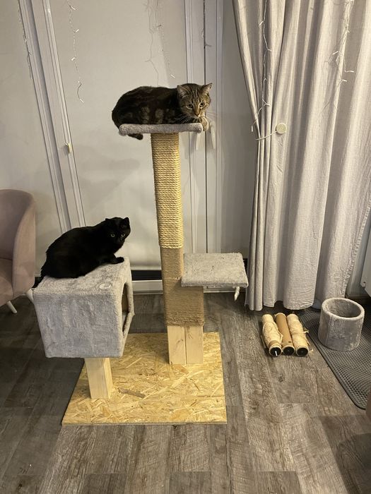 Drapaki,domki dla kota