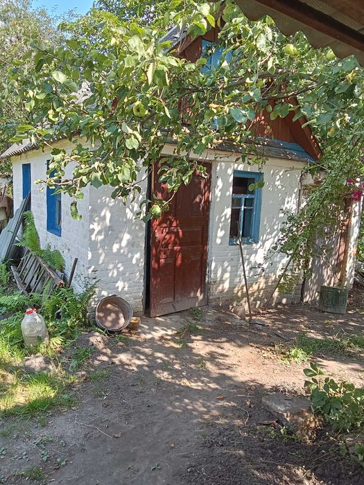 Будинок в с.Забуяння. Село, оточене лісом з чарівними краєвидами