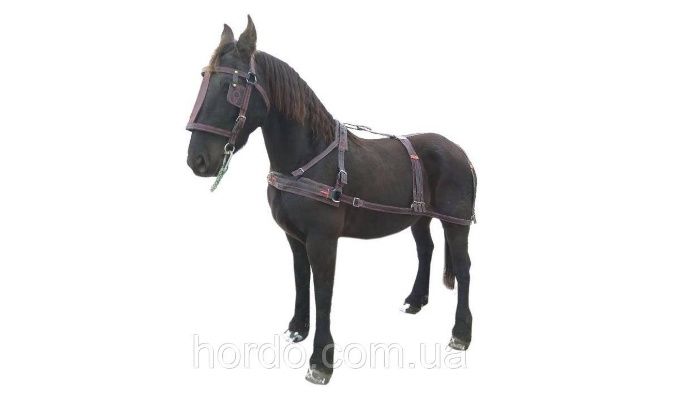 Упряж шлея, наритник, уздечка, недоуздок, ліци.