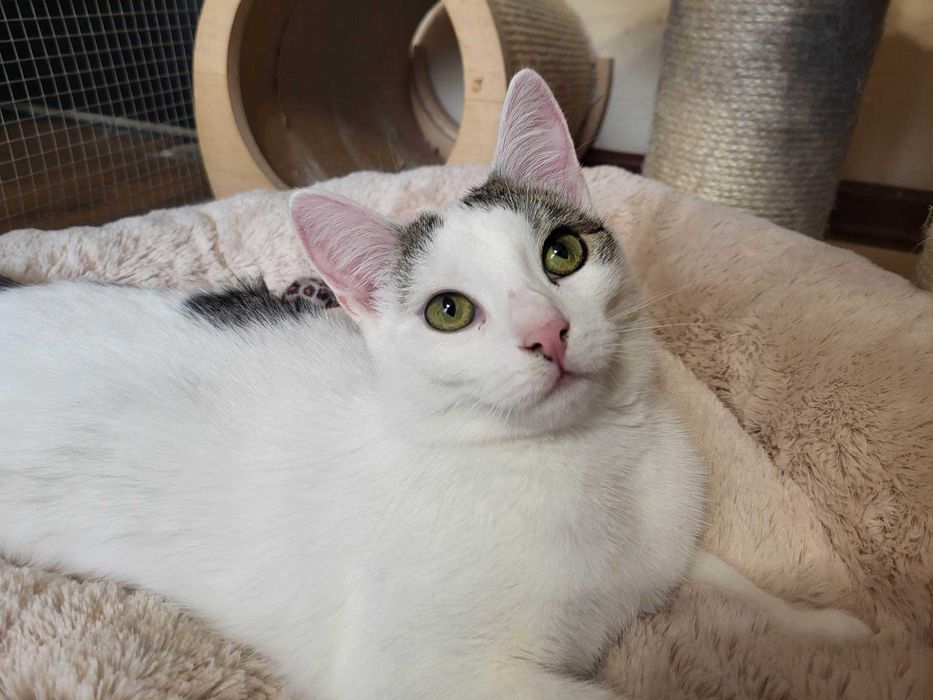 Lenka szuka swojego człowieka