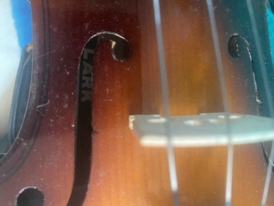 Violino sem arco