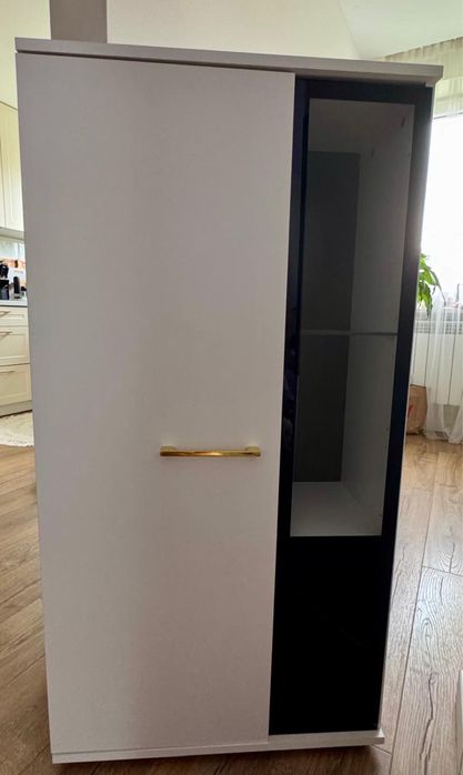 Mebloscianka do salonu.