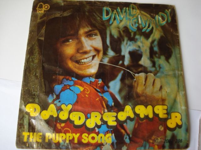 Vinil: David Cassidy- DayDreamer