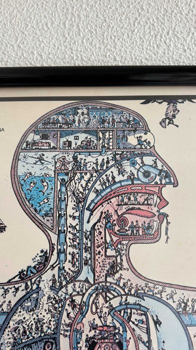 Quadro descritivo das funções do corpo humano