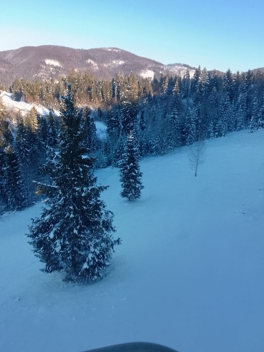 Продається земельна ділянка