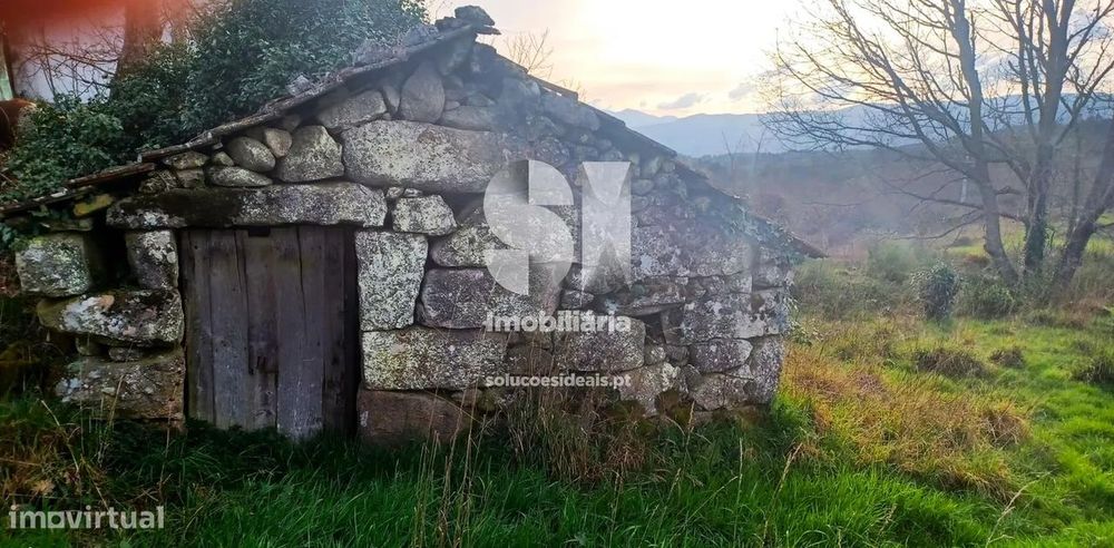 Terreno em Vila real