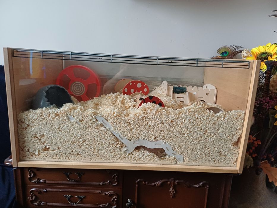 Klatka terrarium dla chomika
