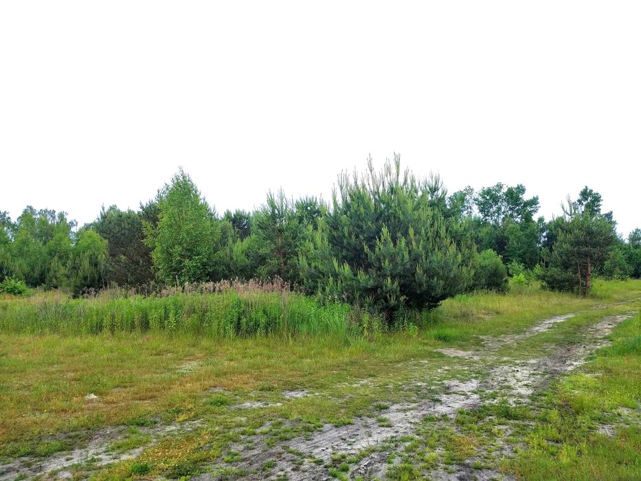 Działka budowlana NAROŻNA 1200 m2 Góra Kalwaria KRZAKI CZAPLINKOWSKIE