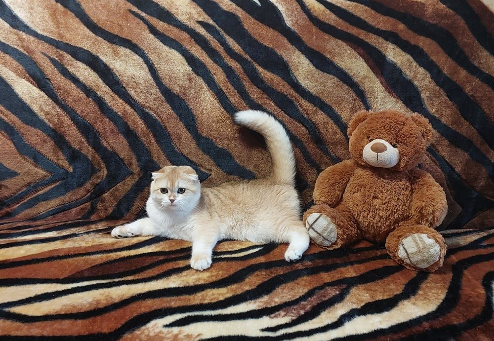 Золоті затушовані і завуальовані  хлопчики