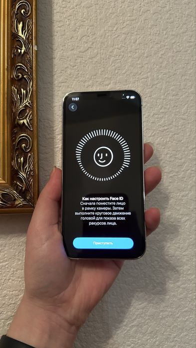 iphone  12 pro