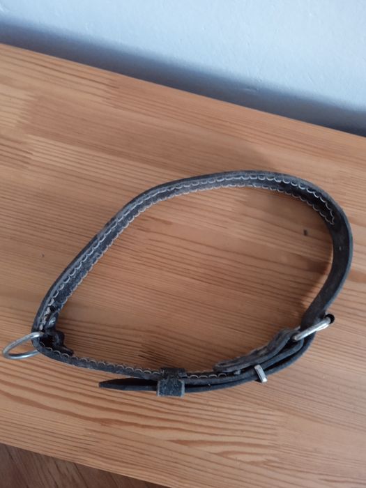 Ошийник для собак та налапники