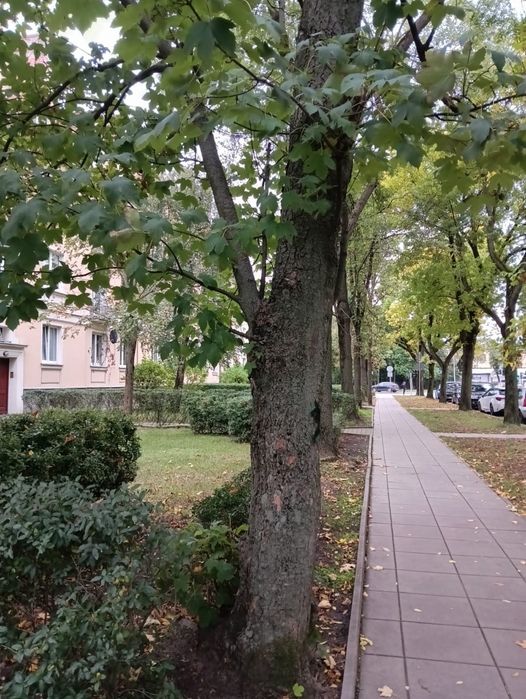 Zdjęcie 2