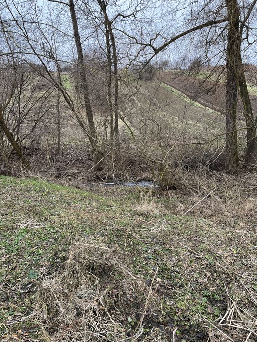 Земельна ділянка біля водойми Бохоники