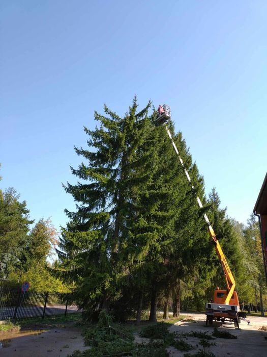 Wycinka - skracanie -pielęgnacja drzew , prace na wysokości