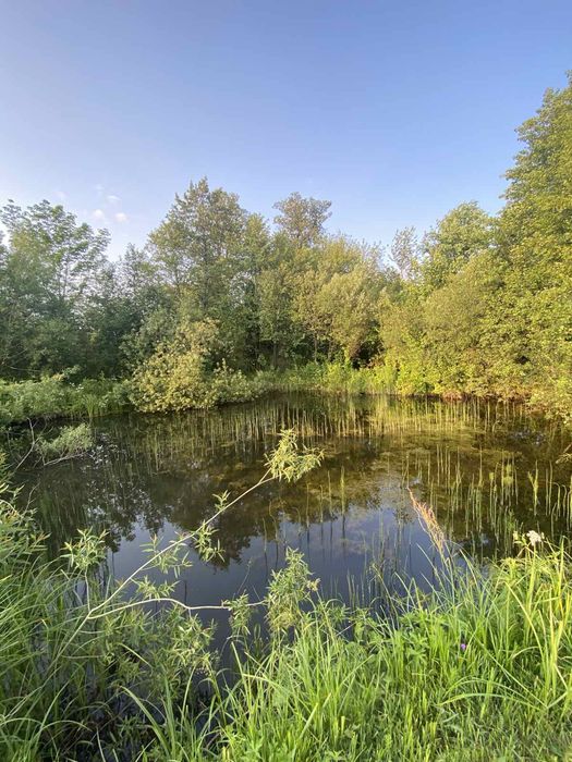 Будинок село Буща.