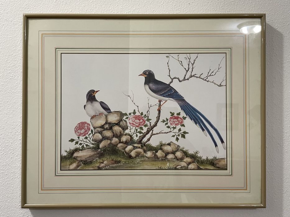 Bird Picture Collection64752331890690123