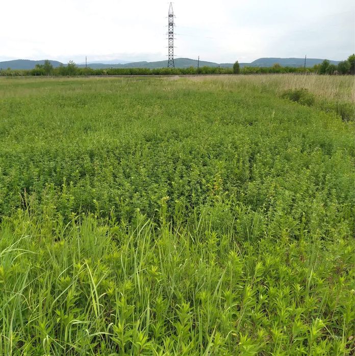 Земельна ділянка 0.12 га під будівництво, або обміняю на авто