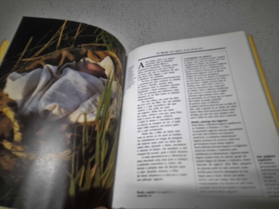 A Bíblia ao Vivo; Novo e Antigo Testamento ( envio grátis)