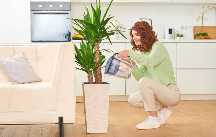 5 л. Большой Кувшин Фильтр синий Ecosoft Maxima с картриджем Екософт