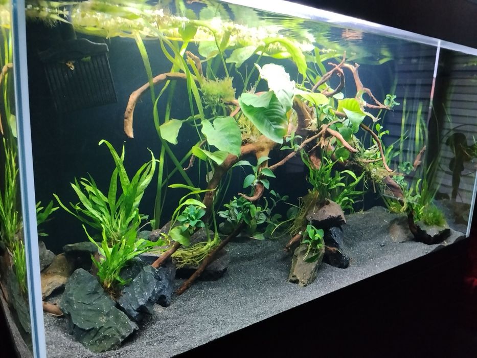 Zestaw akwarium Aquael opti set 200L