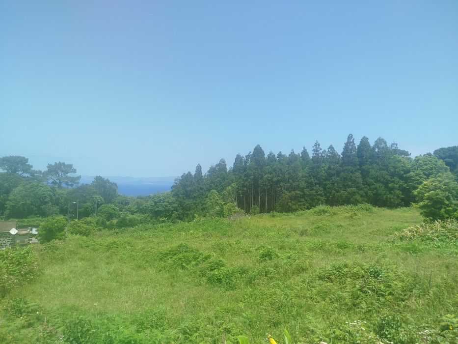 Terreno Pinheira - Rua da Bragada - Santo António