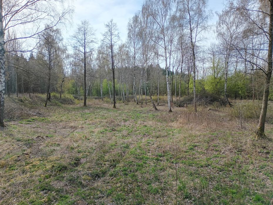 Łąka Bieliki sprzedam