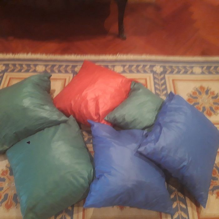 Interior and Exterior Decorative Cushion