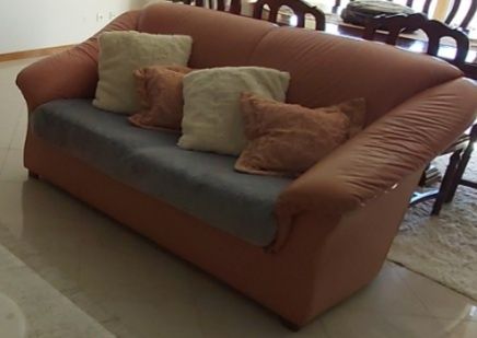 Sofá em pele de dois lugares