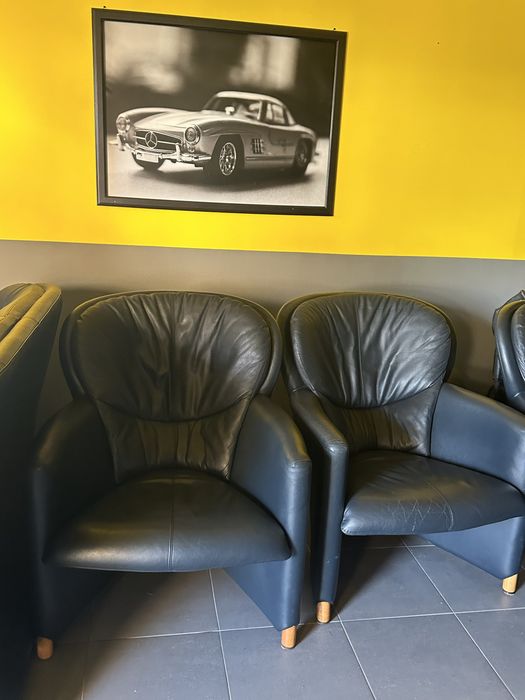 Leolux design kanapa fotele leolux