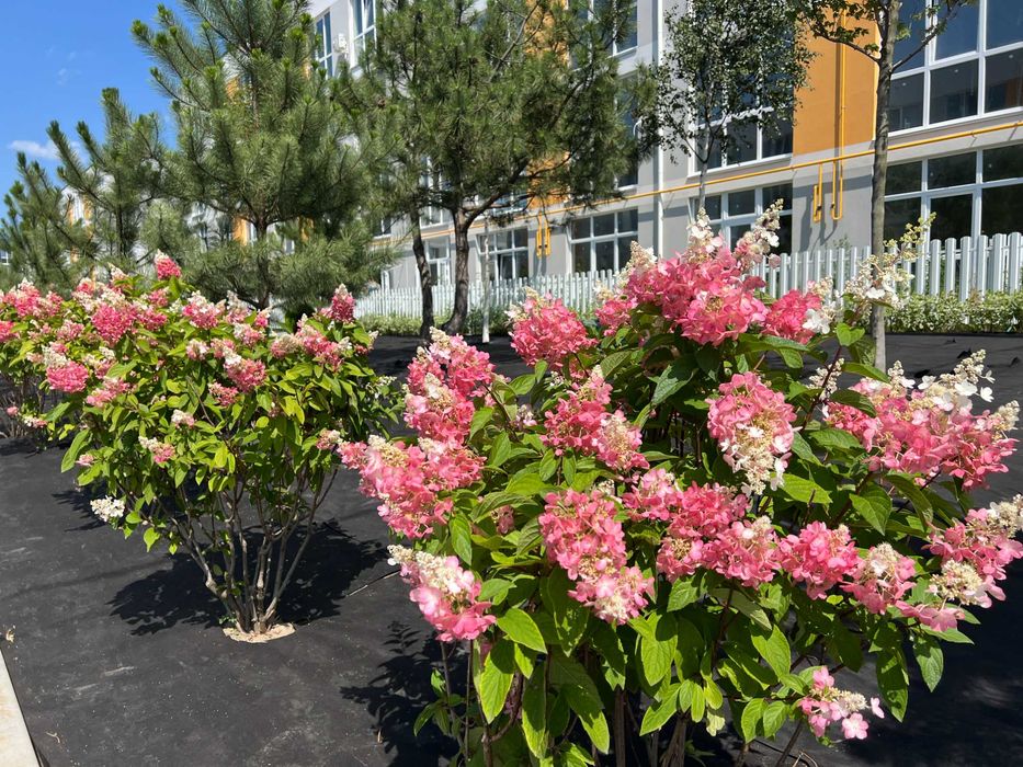 АКЦІЯ!!!  2к-Квартира 46,48м2  ЖК Sanvile Park