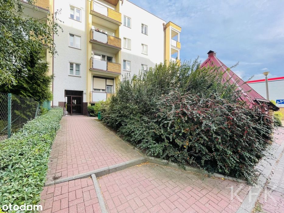 2 pokoje, blok z cegły, Koniuchy