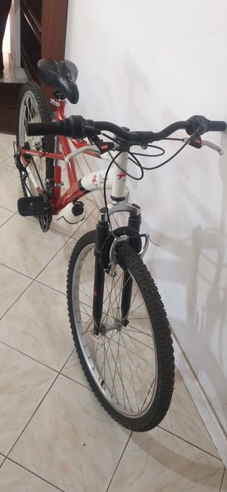 Bicicleta Mountain