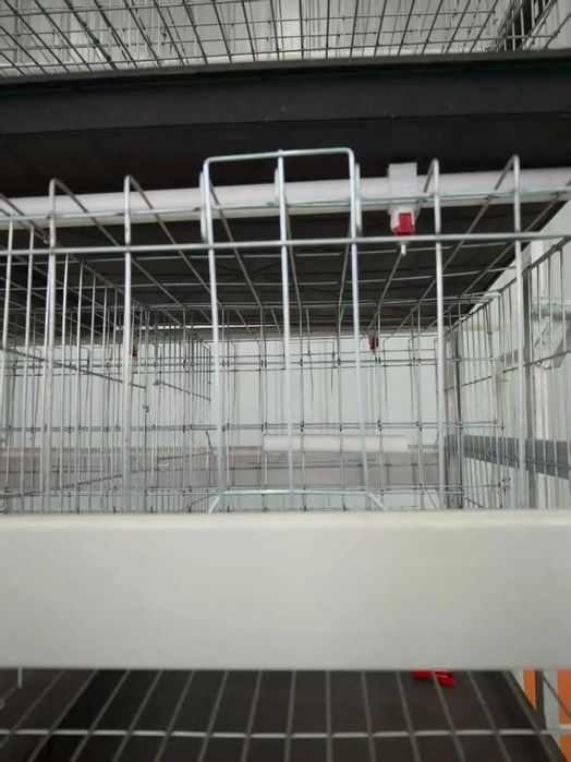 Клітка для несучок на 160 голів, 4 яруси (поїлки, піддон, жолоб)