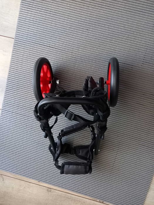 Wózek rehabilitacyjny/inwalidzki dla psa