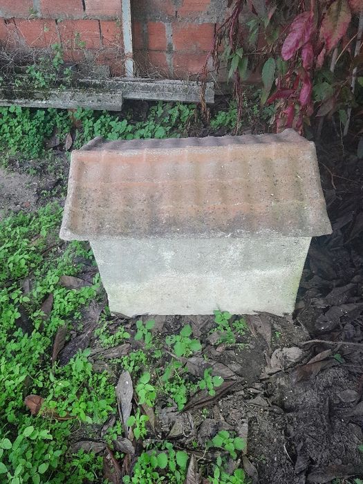 Vende-se casota para cão