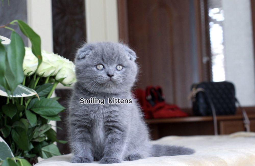 Чекає саме на тебе