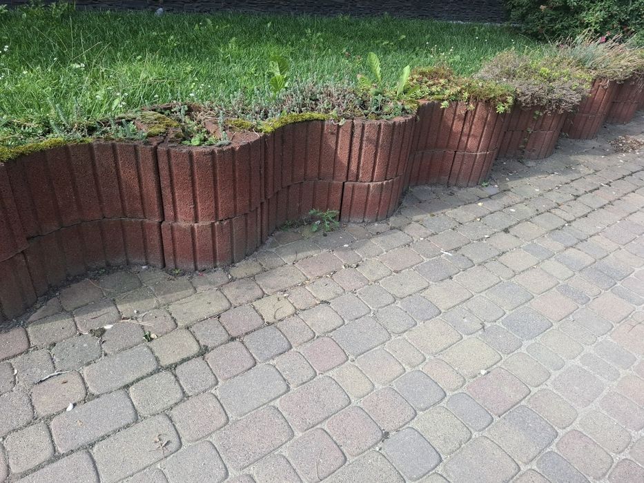 Gazony ozdobne używane