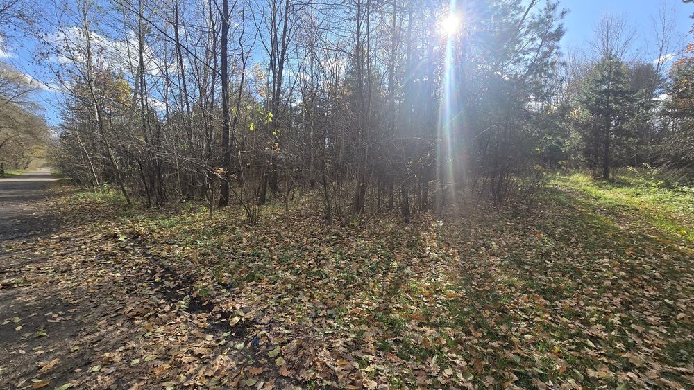 Продаж ділянки с. Бистри, крайня до лісу (26140646)