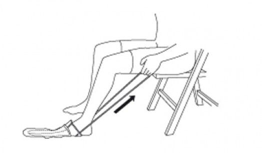 Calçadeira de meias e collants - Novo